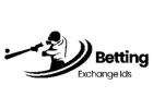 Betwinner Exchange 