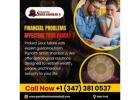 Famous Financial Problems Solution Astrologer in New York