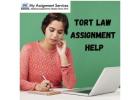 Professional Tort Law Assignment Help for Law Students