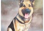 Dog Portrait Canvas Painting
