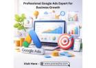 Professional Google Ads Expert for Business Growth