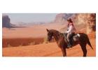 Customized Tours Jordan – Private & Tailor-Made Travel Experiences