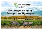 Budget Safari in Serengeti and Ngorongoro  Affordable Tanzania Tours