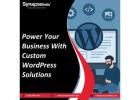 Power Your Business With Custom WordPress Solution