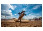 Unforgettable Live Rodeo Experiences Await