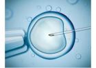 IVF Treatment in Kolkata | Advanced Fertility Care at Uma Medical