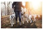 Dog Walkers in Faridabad