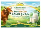 Pure Gir Cow A2 Milk for Sale – Fresh & Organic by Sattvishtik