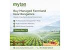 Buy Managed Farmland Near Bangalore – Hassle-Free Agricultural Investment