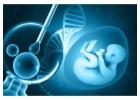 Advanced Test Tube Baby in Kolkata at Uma Medical – Trusted IVF Care