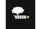 Arbor Plus
