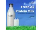 Fresh a2 protein milk for Daily Nutrition and Healthy Lifestyle