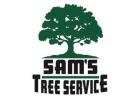 Emergency Tree Service​ Rohnert Park