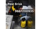 Professional Pest Control in Gurgaon: Pest Brisk | 100% Guaranteed Satisfaction