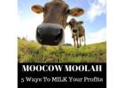 **Moocow Moolah: 5 Ways to Milk Your Profits**