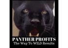 **Panther Profits: The Way to Wild Profits**