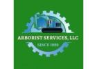 Professional Land Clearing and Tree Removal with Arborist Services in Hilo 