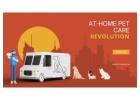 India’s At-Home Pet Care Revolution