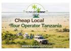Cheap Local Tour Operator Tanzania – Affordable Safaris with Kilieconomy Safari