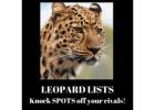 **Leopard Lists: List Building That Outruns the Competition**