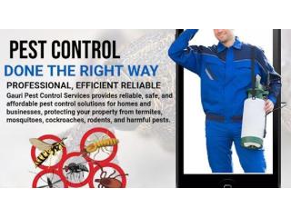 Best Pest Control in Rohini | Professional Cockroach Control Services