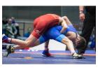 Super Quality Wrestling Mat at Best Price | Gravolite