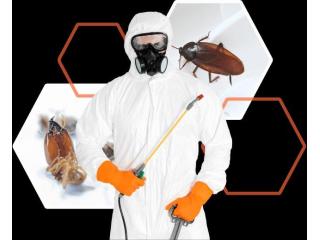 Jaipur Mosquito Control Services for Homes, Offices, and Public Spaces