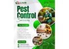 Best Pest Control Service in Rohini | Termite & Cockroach Control Near Me