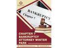 Chapter 7 Bankruptcy Attorney Services in Winter Park - Debt Assistance Law Firm