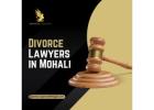 Experienced Divorce Lawyers in Mohali – Trusted Legal Support