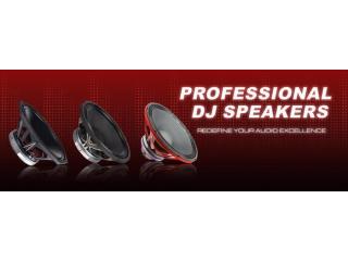 15 Inch DJ Speaker For High Power Sound Performance