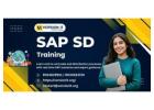SAP SD Training in Bangalore – Job Oriented & Industry-Focused Program – Version IT