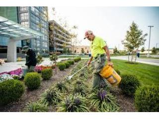 Commercial Landscaping Contractors Green Day Pro Landscaping