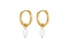 Discover Premium designer earrings wholesale Trendy & Elegant Collections in the United States