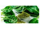 Boost Daily Vitality with Super Greens Powder