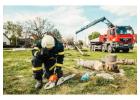 Professional Stump Grinding & Stump Removal Services in Albany, NY