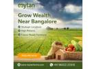 Buy Best Managed Farmland Near Bangalore for High ROI