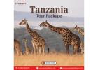 Tanzania Tour Package