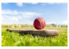 Cricket Betting ID: Everything You Need to Know with Amiribook