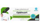 Opencart premium theme free download | Srmehranclub.com