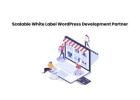 Scalable White Label WordPress Development Partner