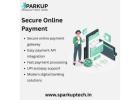 Secure Digital Payment Solution  