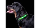 Stay Safe and Confident With a Rechargeable Led Dog Collar Design