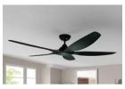 Jackdaw Ceiling Fan by WadBros