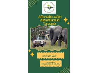 Budget Wildlife Tours – Affordable Safari Adventures in Tanzania
