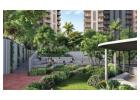 Ashiana Aaroham Sector 80 – Spacious 3, 4 & 5 BHK Homes in Gurgaon