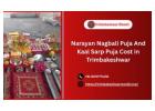 Narayan Nagbali Puja And Kaal Sarp Puja Cost in Trimbakeshwar