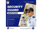 Expert Security Services in Georgia