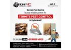 Termite Pest Control Service in Secunderabad
