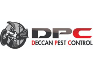 Termite Pest Control